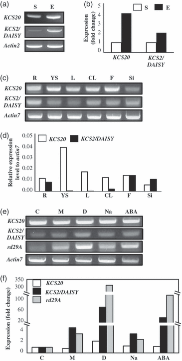 ieee research paper on array